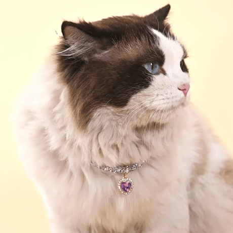 猫・犬用キラキラ首輪ネックレス｜ハートチャーム付きペットジュエリー