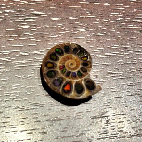 【芸術品】アンモナイトに宝石アンモライトを埋め込んで作ったアンモナイト象嵌