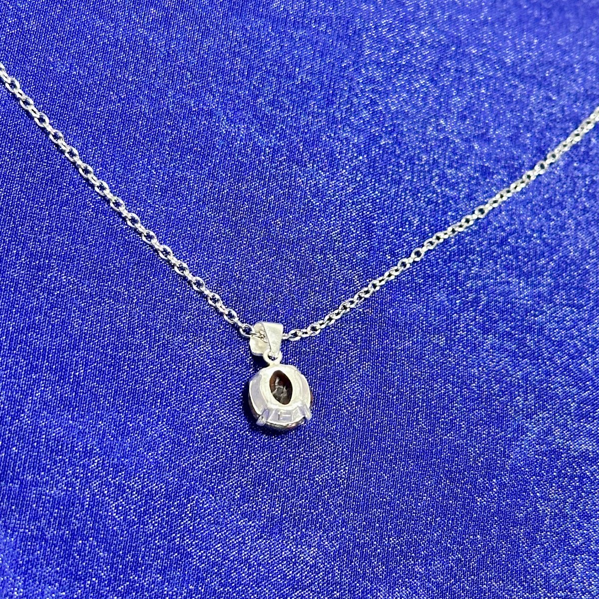 希少宝石】恐竜の骨「ダイナソーボーン」ネックレス | ジュエリー春日