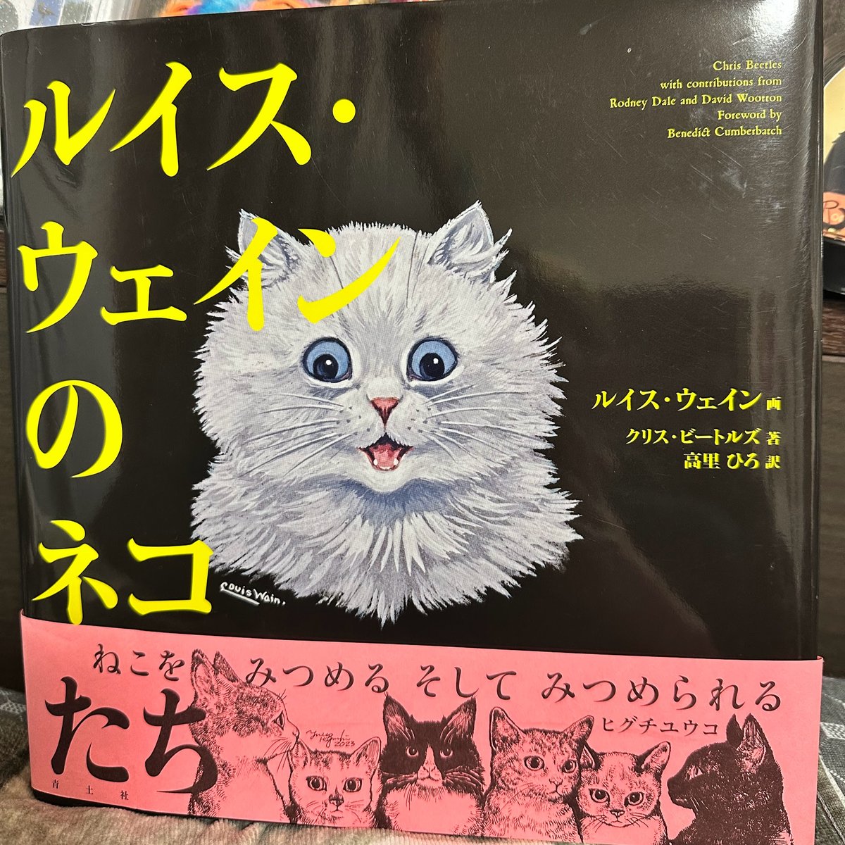 新物屋様 オーダー絵画「猫の背中に何かある〜イギリスの猫とフルート」 田嶋香里（TAJIMA KAORI）｜人間社会を猫で描く画家 - 擬人化した猫の