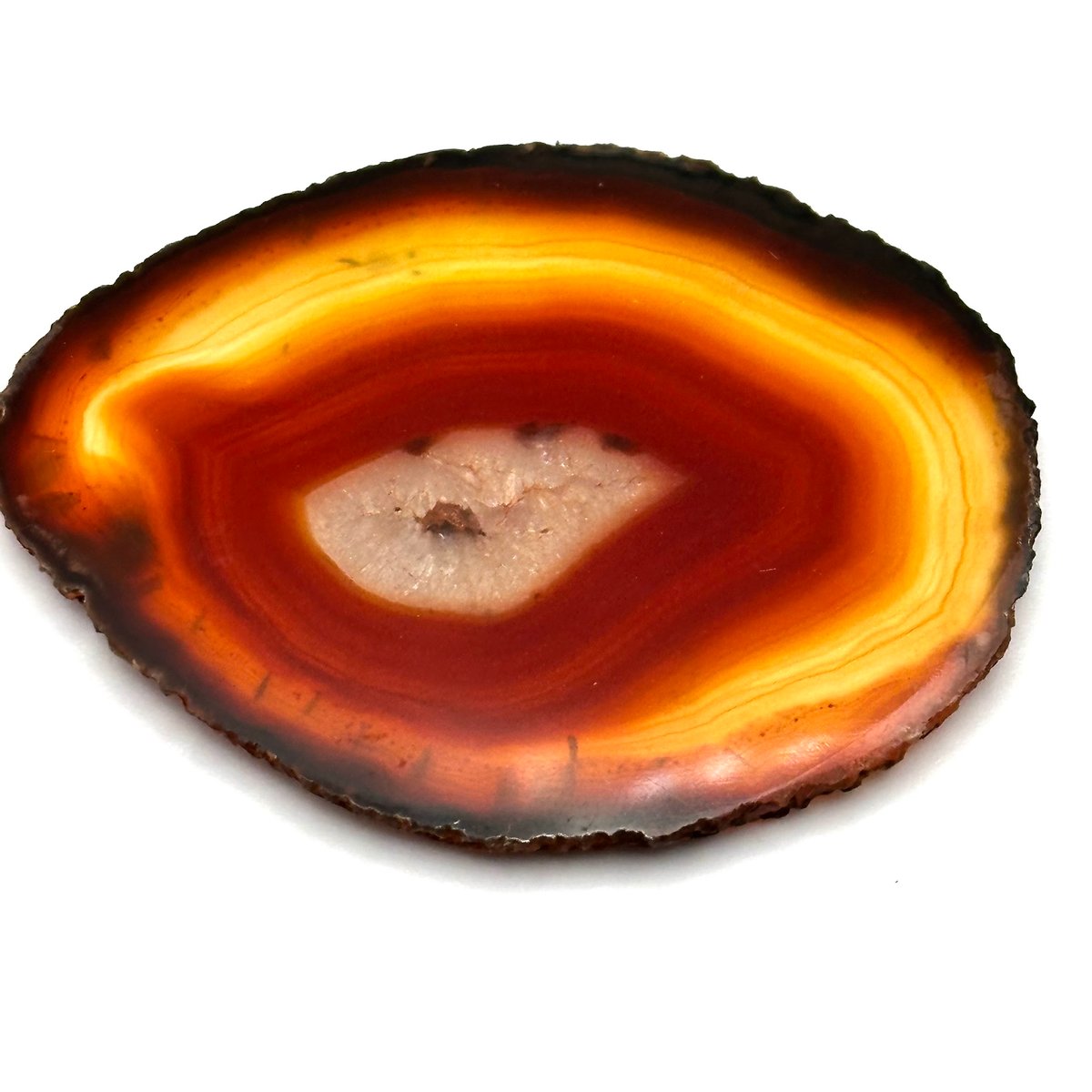 tamago瑪瑙スライス　生命の木　8-162 tamago瑪瑙スライス 生命の木 8-162 tamago瑪瑙スライス 生命の木 8-162