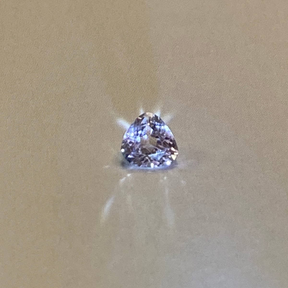 トリリアント出品※ fit=scale-down,w=1200