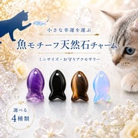 ミニ置物 フローライトの貔貅さま | ジュエリー春日