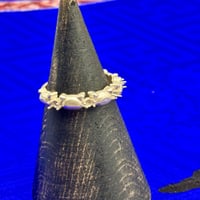 【空枠】ねこエタニティリングの空枠