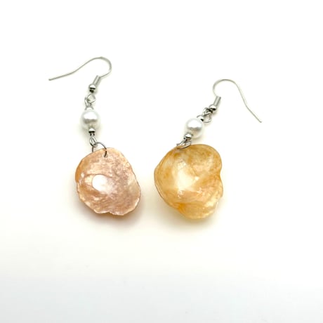 【ご依頼品】宮城県七ヶ浜桜貝天然ピアス