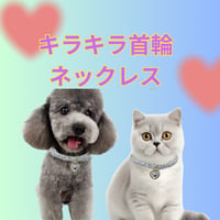 猫・犬用キラキラ首輪ネックレス｜ハートチャーム付きペットジュエリー