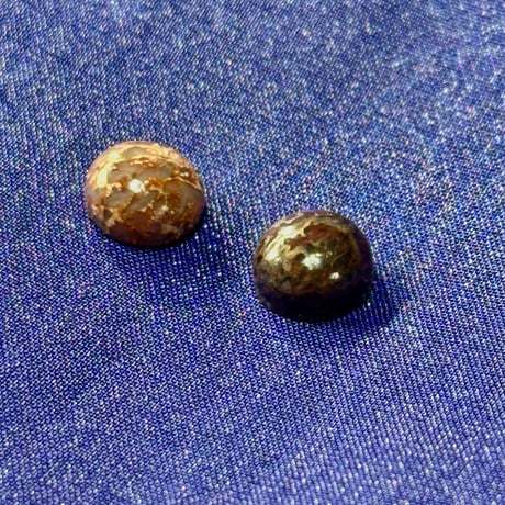 ダイナソーボーン | STORES