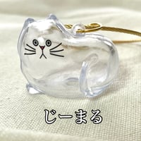 【うちの子シリーズ】うちのこ毛ーリング（けーりんぐ）/「じーまる」～目が合う、何か訴えてくる