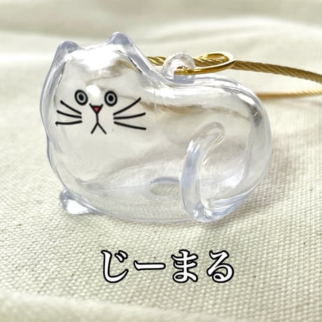 【うちの子シリーズ】うちのこ毛ーリング（けーりんぐ）/「じーまる」～目が合う、何か訴えてくる