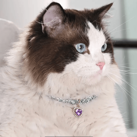 猫・犬用キラキラ首輪ネックレス｜ハートチャーム付きペットジュエリー
