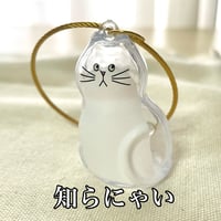 【うちの子シリーズ】うちのこ毛ーリング（けーりんぐ）/「 知らにゃい」～バレてるけど、知らにゃい顔