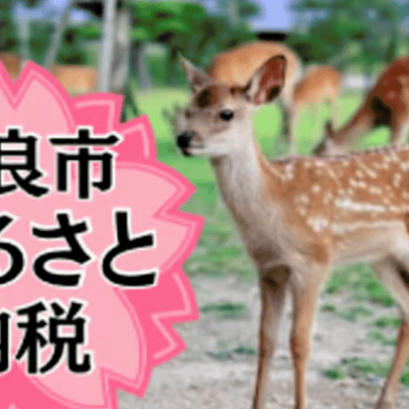 【奈良の鹿を守れ】奈良の鹿と蓮の花 ピアス｜イヤリング変更可D
