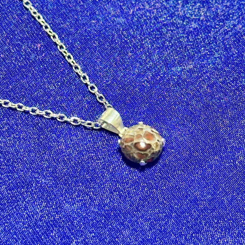 希少宝石】恐竜の骨「ダイナソーボーン」ネックレス | ジュエリー春日