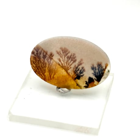 【天然石】梅干しアゲート 激レア！同心円状模様 木製台座付きインテリア 天然石】梅干しアゲート 激レア！状模様 木製台座付きインテリア