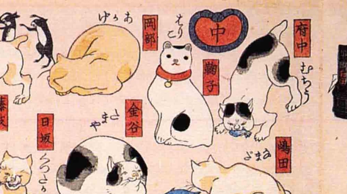 fit=pad,format=jpeg,w=1200