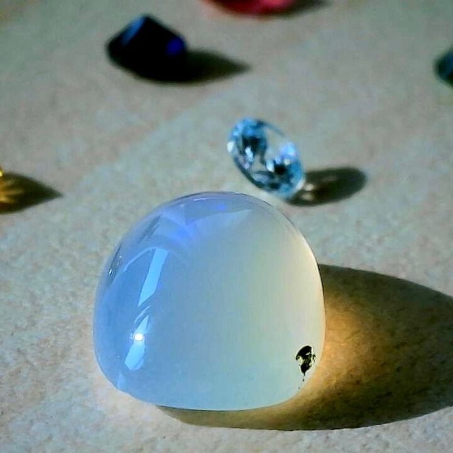 63c28ca9791d021e983c24e9