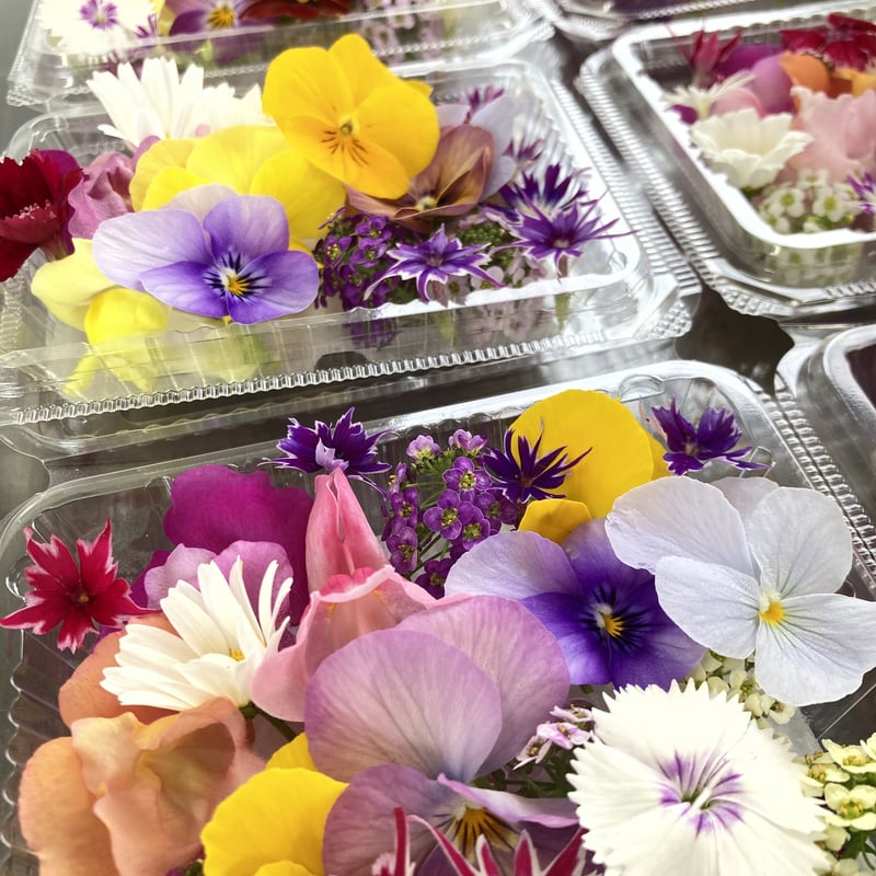 おまかせミックス | ricopriere