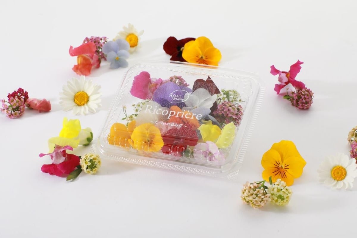 花便 fit=scale-down,w=1200