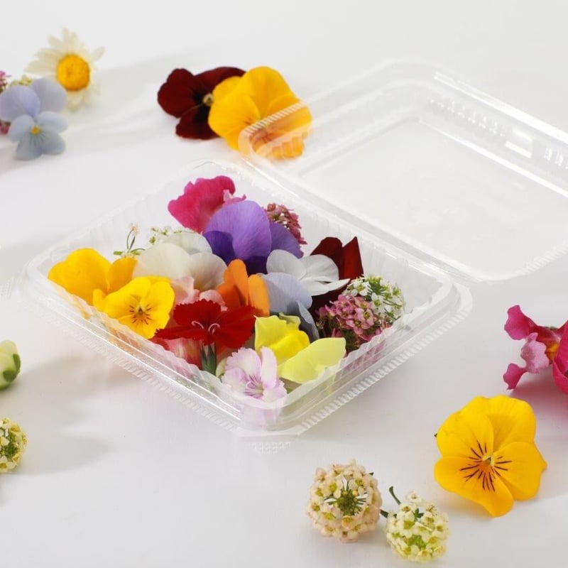 おまかせミックス | ricopriere