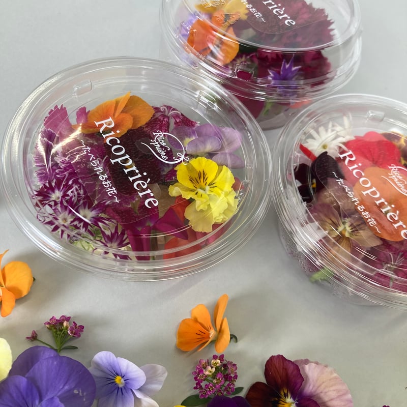 おまかせミックス | ricopriere