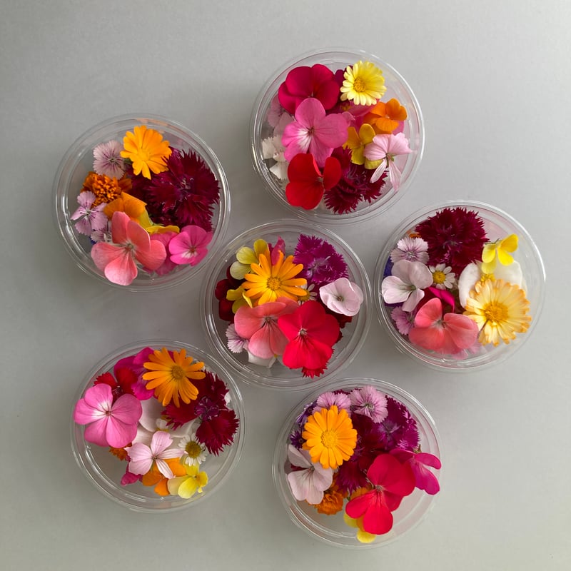 おまかせミックス | ricopriere