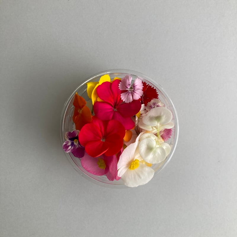 おまかせミックス | ricopriere