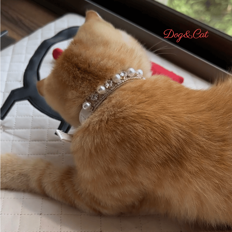 pet neck Accessory 首輪 犬用 猫用 おしゃれ首輪 ペット用品 キラキラ