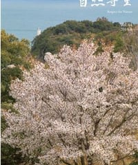 自然尊重44号