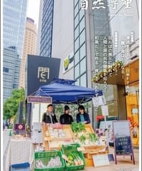 自然尊重51号