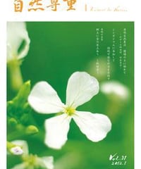 自然尊重31号