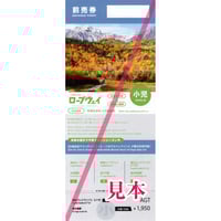 つがいけロープウェイ往復乗車券（小学生）