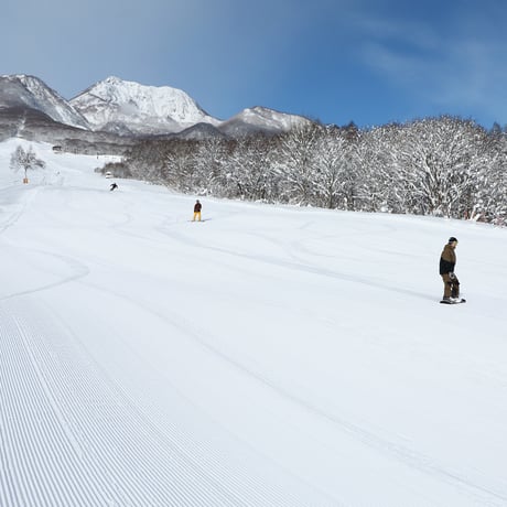 池の平温泉アルペンブリック　電子早割リフト1日券 [大人]