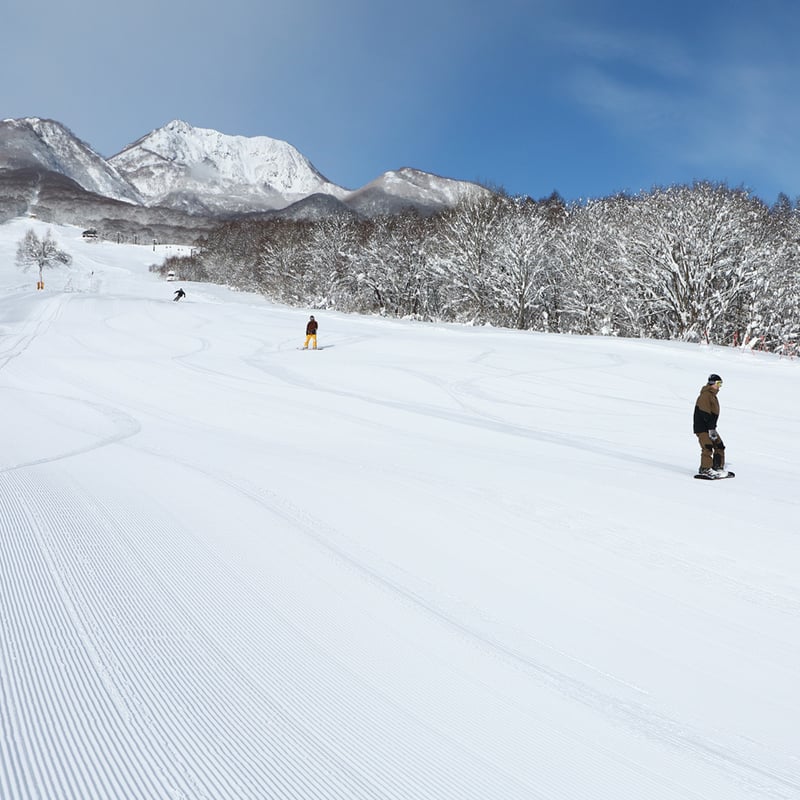 池の平温泉アルペンブリック 電子早割リフト1日券 [大人] | Snownavi