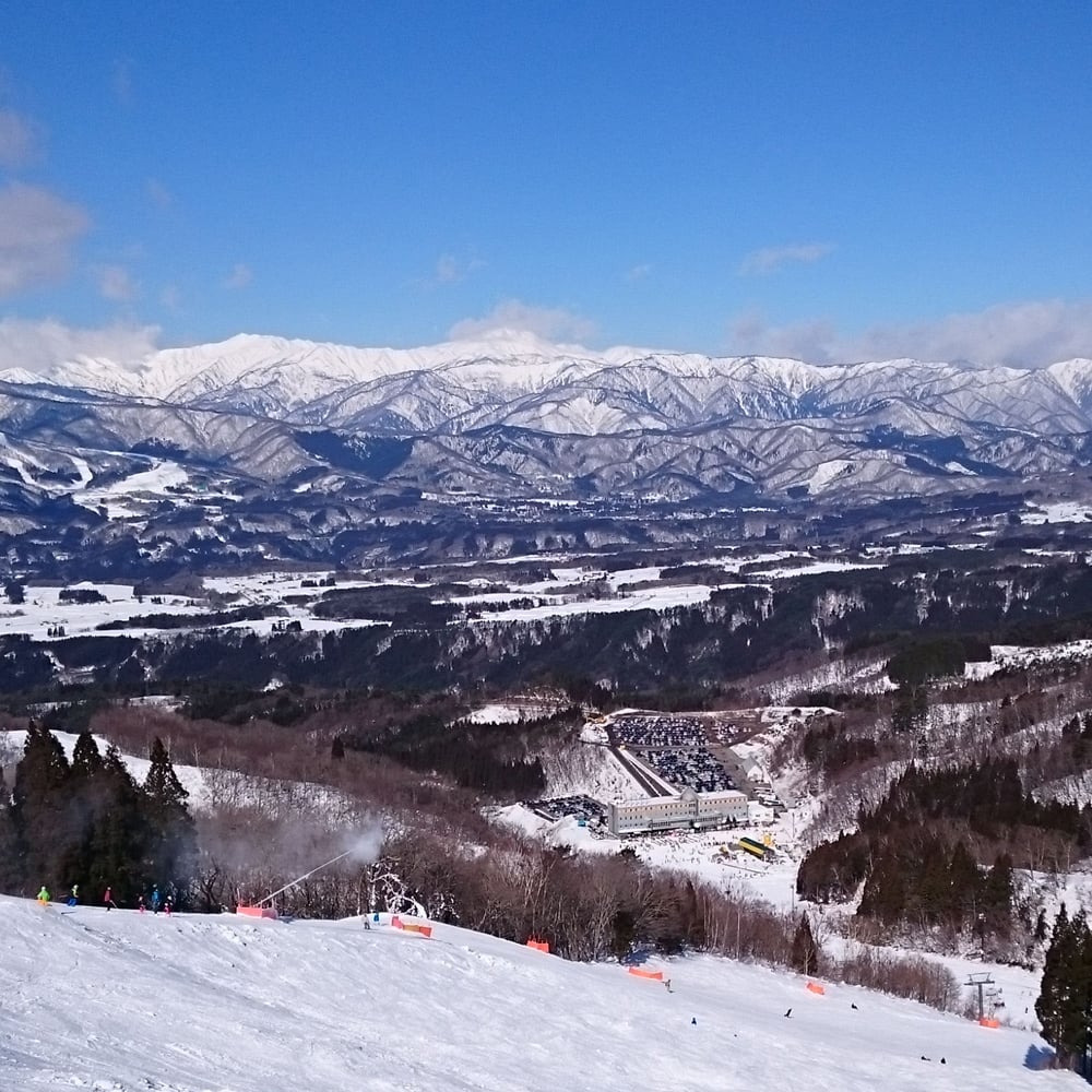 ホワイトピアたかすスキー場 1日券 3枚 リフト券 ホワイトピアたかす 電子リフト1日券[大人] | Snownavi