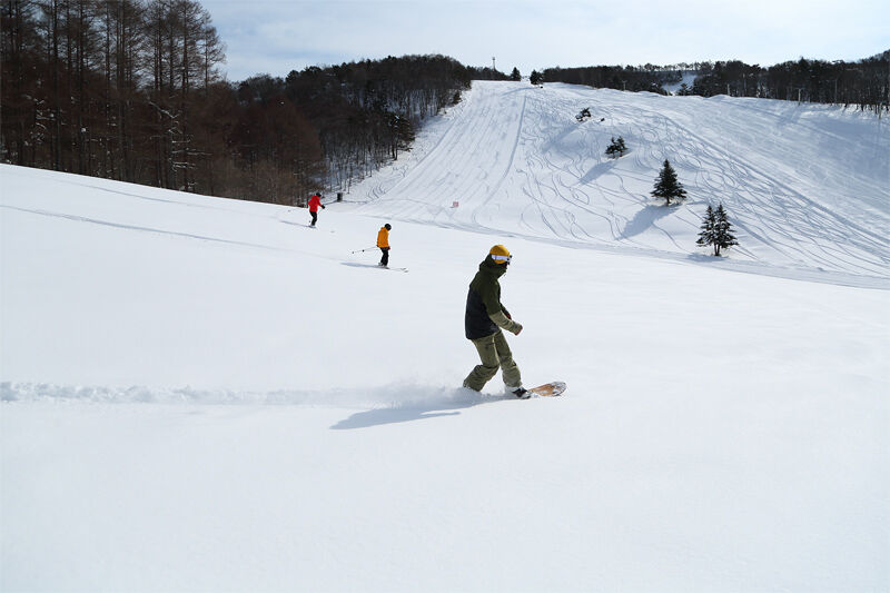 ニンジャスノーハイランド 電子学割1日券 | Snownavi