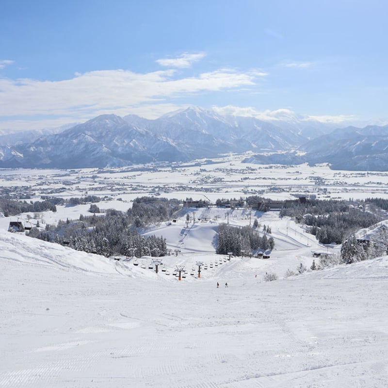 上国&岩原 共通チケット リフト料金 リフト料金 - 上越国際スキー場