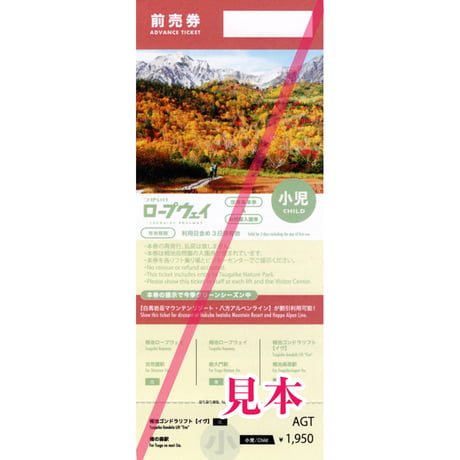 つがいけロープウェイ往復乗車券（小学生）