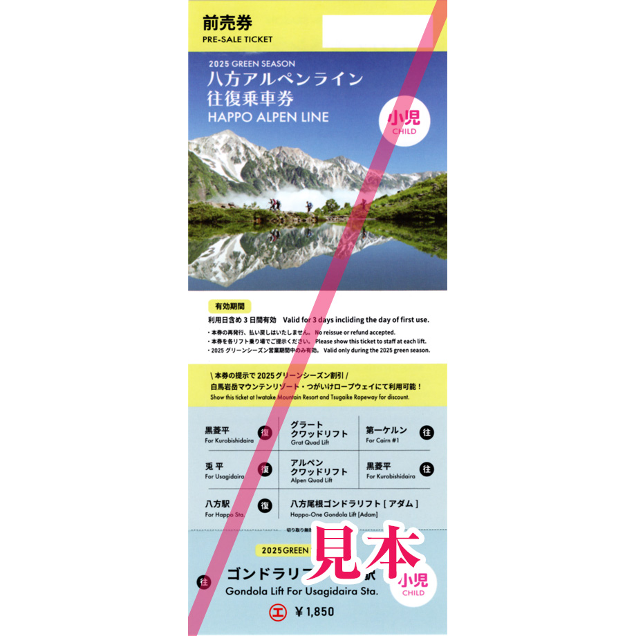 リフトゴンドラ1日券×4回分 Mt.Naeba 2025年 000000001945_qLCg0wW.jpg