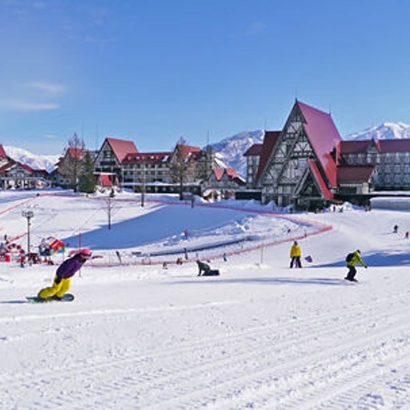 上越国際スキー場、岩原スキー場リフト券ナイター付　２枚 岩原＆上越国際スキー場 共通 リフト券 4枚