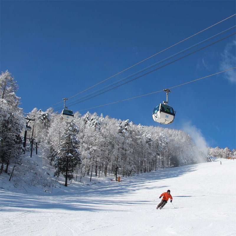 富士見パノラマ 電子リフト1日券 | Snownavi