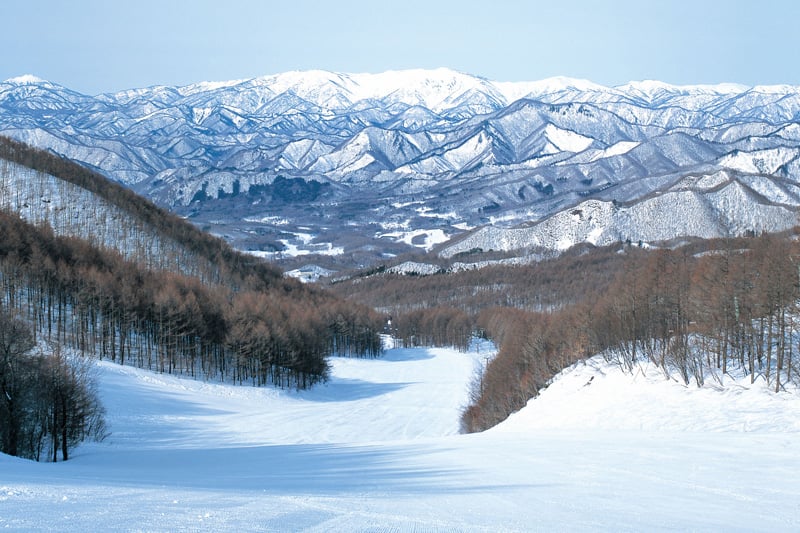 たかつえ 電子早割リフト1日券[大人] | Snownavi