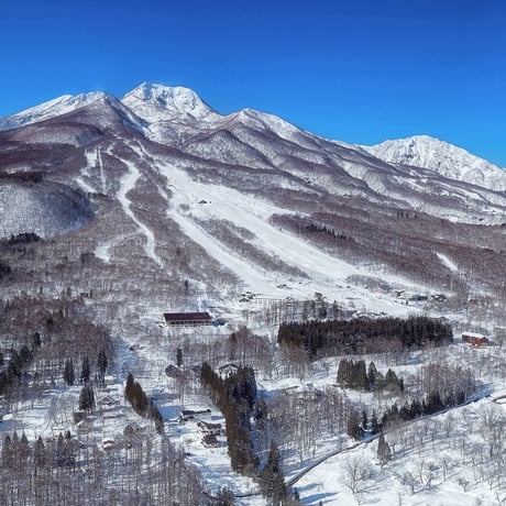 池の平温泉アルペンブリック　電子超早割リフト1日券 [大人]