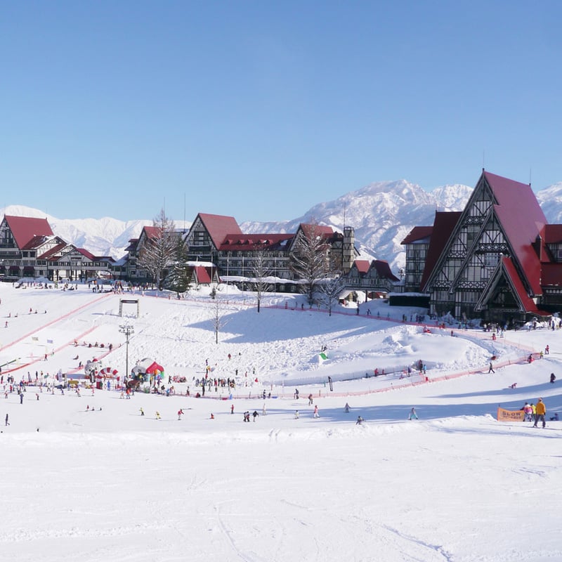 上国＆岩原 1日入場券＋[電子チケット] | Snownavi