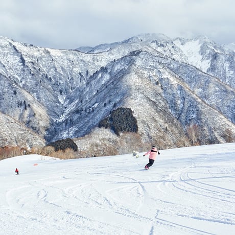 白山一里野温泉・白山セイモア共通　電子早割2スキー場共通リフト1日券