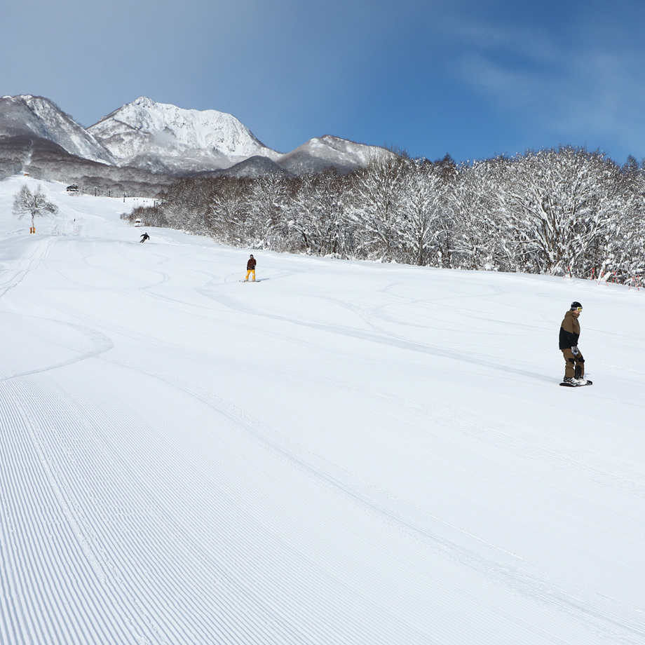 池の平温泉アルペンブリック 電子特割リフト1日券 [大人] | Snownavi