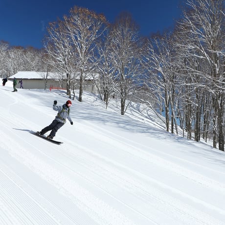 池の平温泉アルペンブリック　電子超早割リフト1日券 [大人]