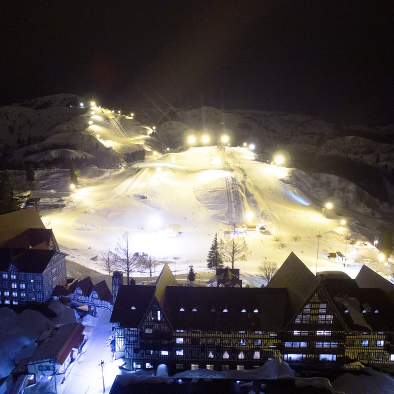 上国＆岩原　リフト1日ご招待券　ナイター付き　2枚 上越国際＆岩原リフト1日御招待券ナイター付き2枚セット