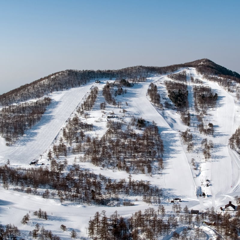 高峰マウンテンパーク 電子1日券 | Snownavi