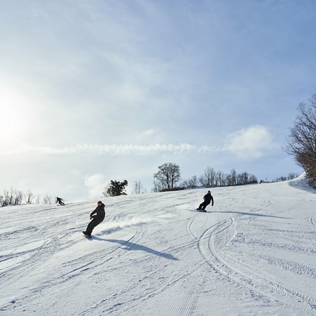 白山一里野温泉・白山セイモア共通　電子早割2スキー場共通リフト1日券