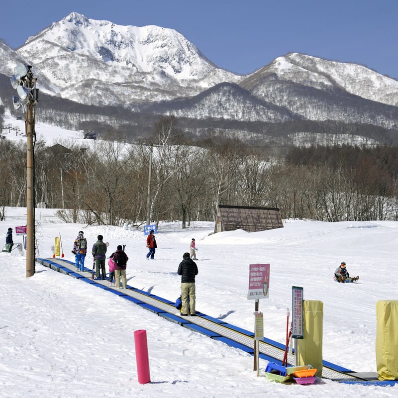 池の平温泉アルペンブリック 電子早割リフト1日券 [大人] | Snownavi